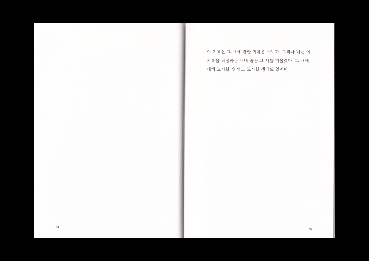 반입자 이미지 4